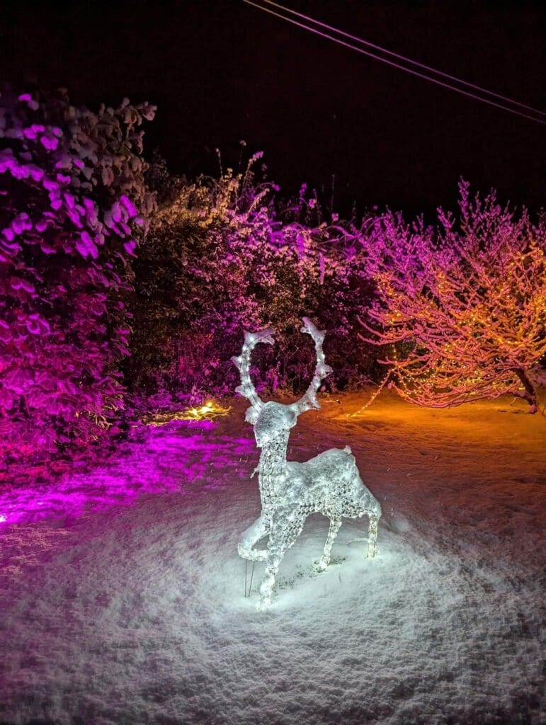 A snowy Christmas scene with a large LED reindeer surrounded by snow bathed in pink and orange uplighters. The perfect welcome for Christmas breaks Yorkshire.