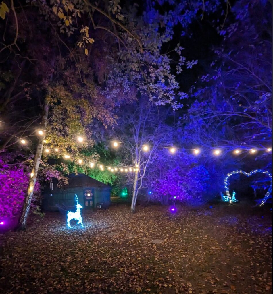 The woodland turns into a magical wonderland at winter. The yurt is surrounded by trees lit up with pink, purple and blue LED lights and a LED reindeer awaits those entering the yurt, The heart shaped woodland arch welcomes all couples for their romantic, winter hot tub getaway.